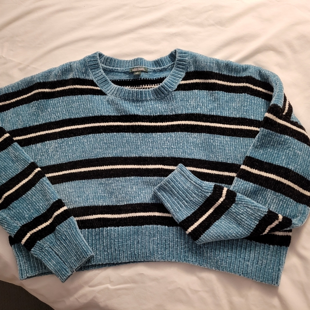 Wild Fable striped chenille cropped sweater